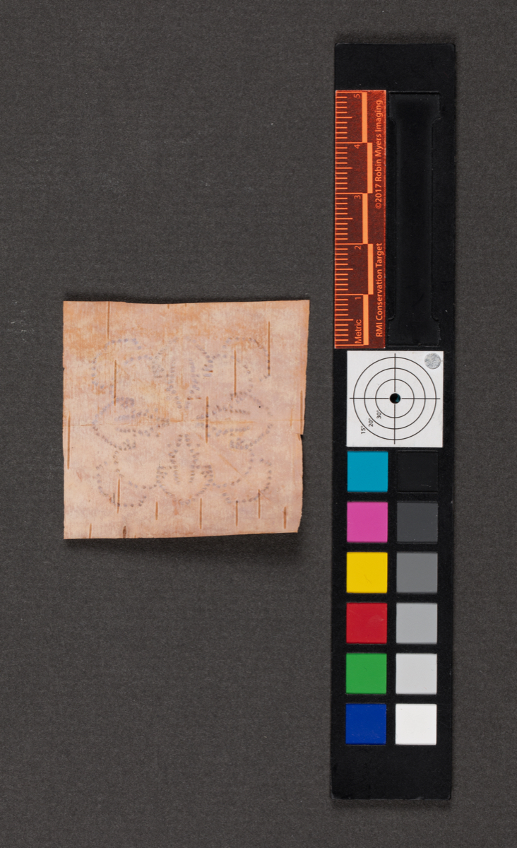Birch bark biting; birchbark