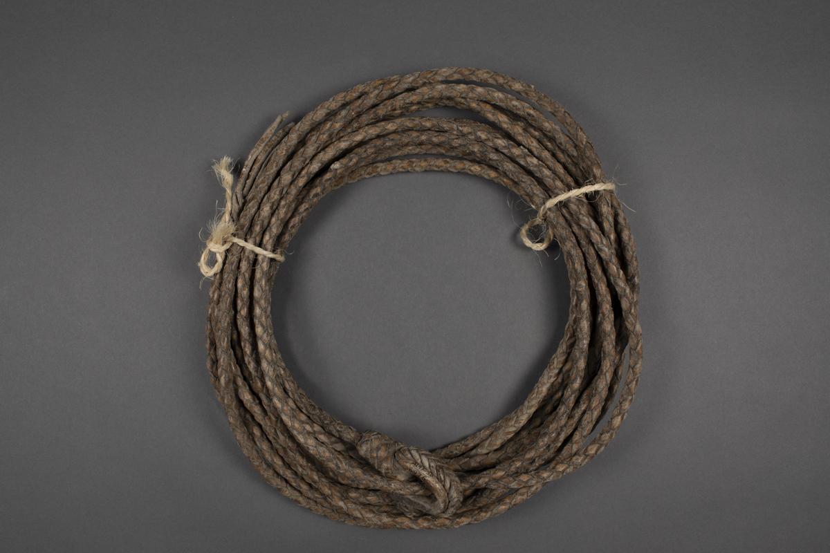 lariat
lasso