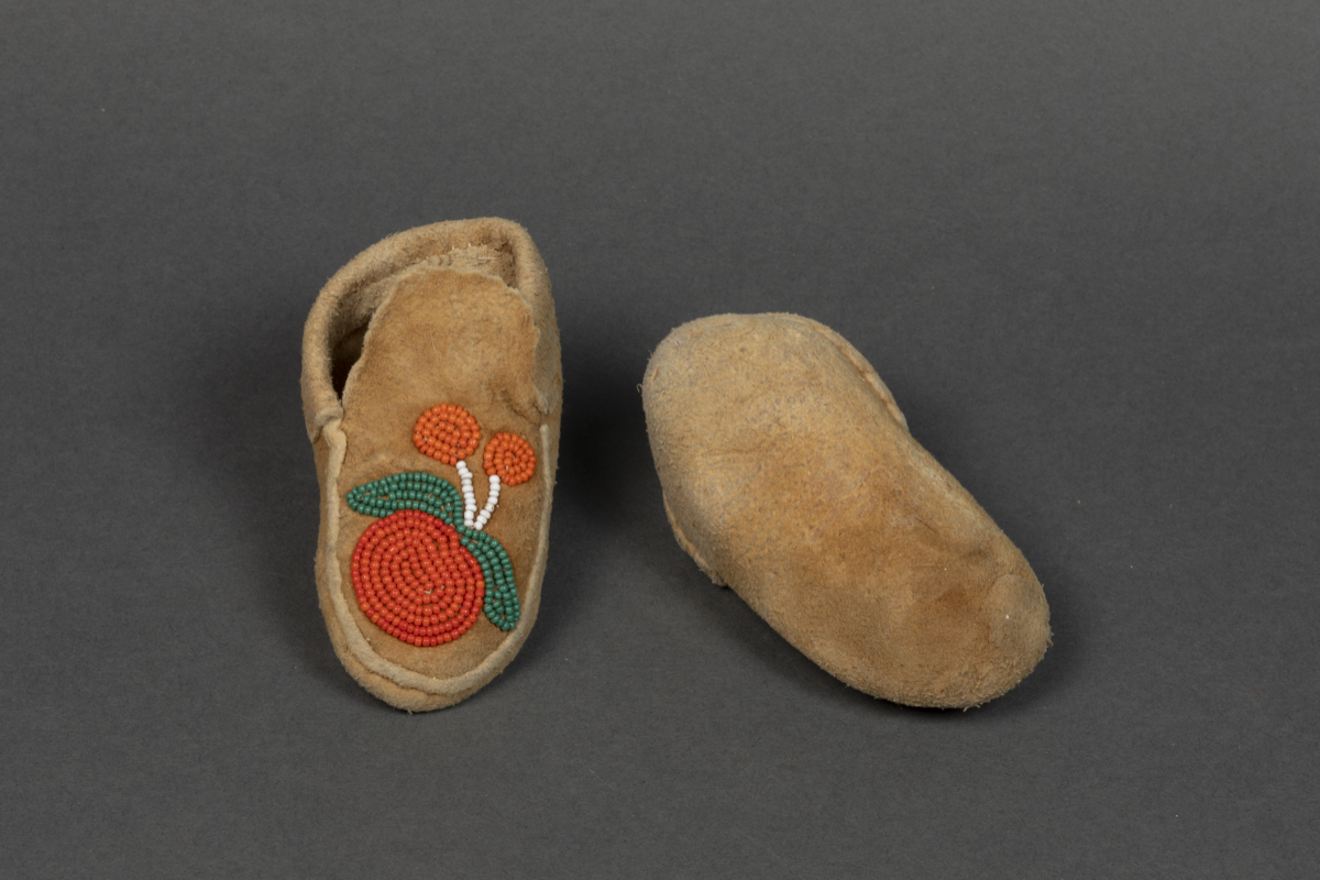 Moccasin